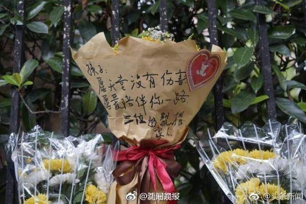 记者：弗拉门戈向AC米兰开出永久转会报价签埃莫森